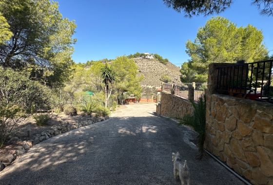 Resale - Finca / Country House - San Miguel de Salinas - Costa Blanca Sur