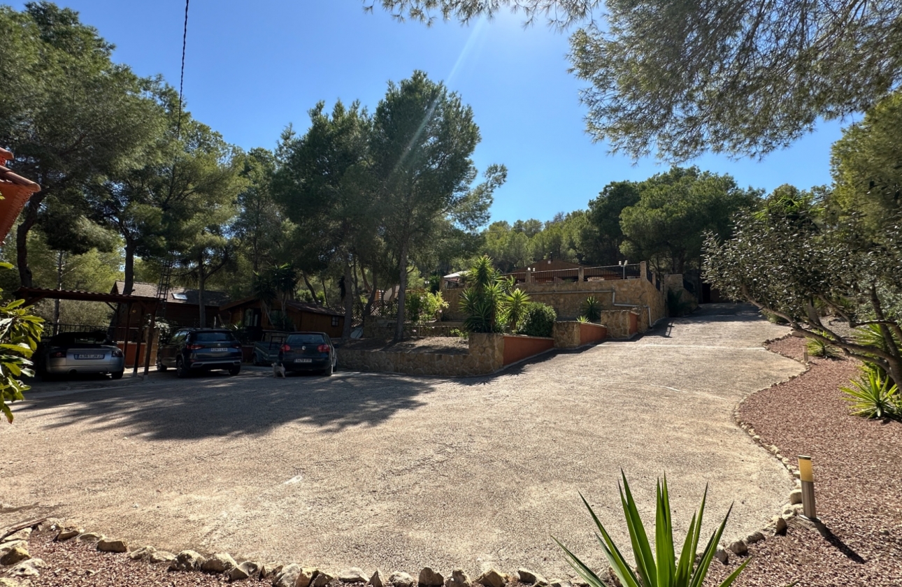 Resale - Finca / Country House - San Miguel de Salinas - Costa Blanca Sur