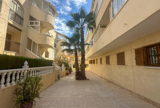 Reventa - Apartment - Orihuela Costa - La Zenia