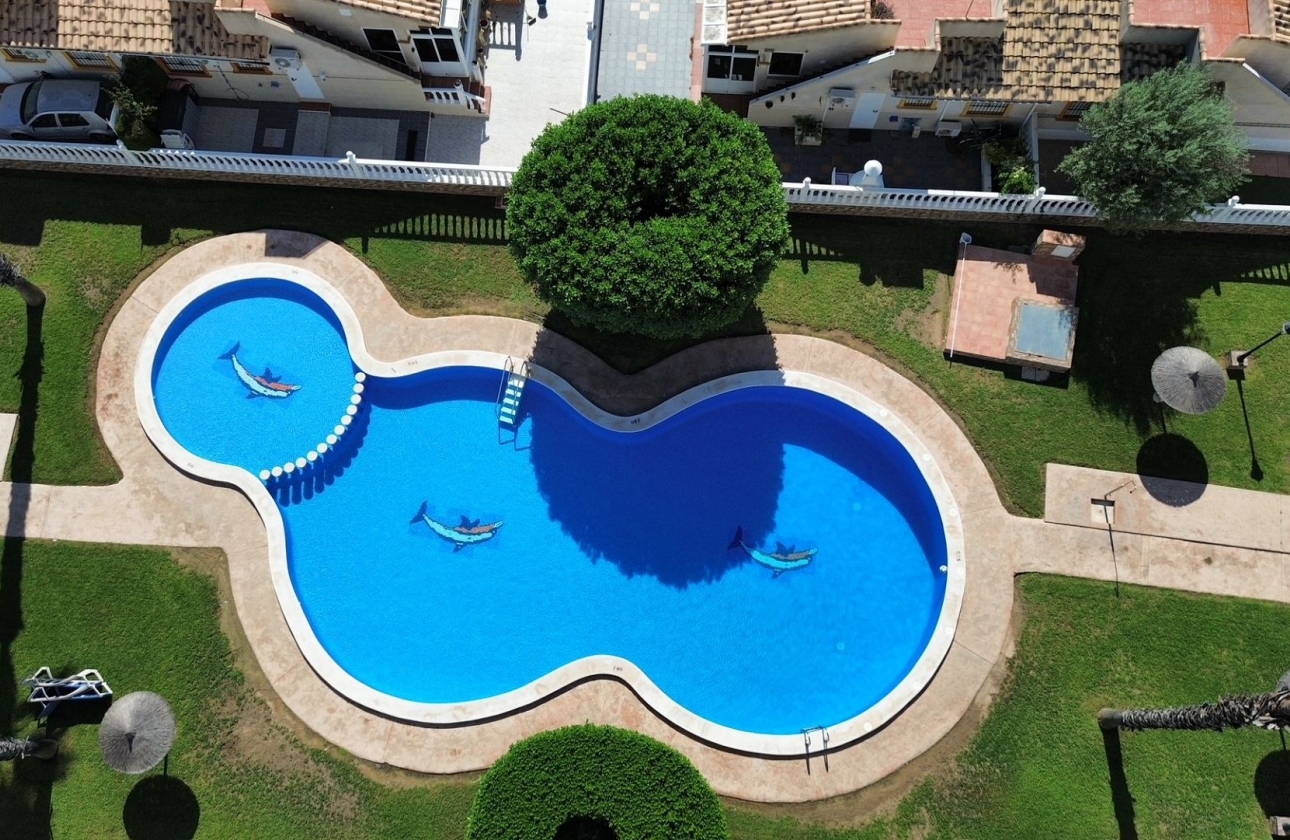 Reventa - Pareado - Orihuela Costa - Lomas de Cabo Roig