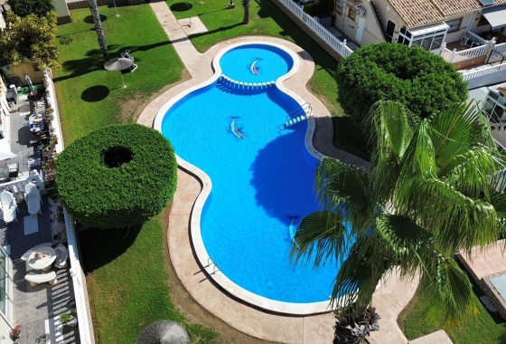 Reventa - Pareado - Orihuela Costa - Lomas de Cabo Roig