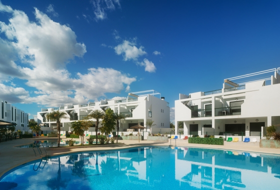 Obra nueva - Apartment - Pilar de la Horadada - Mil Palmeras