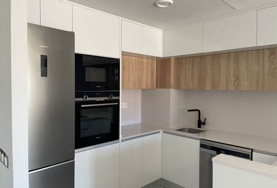 Obra nueva - Apartment - Pilar de la Horadada - Mil Palmeras
