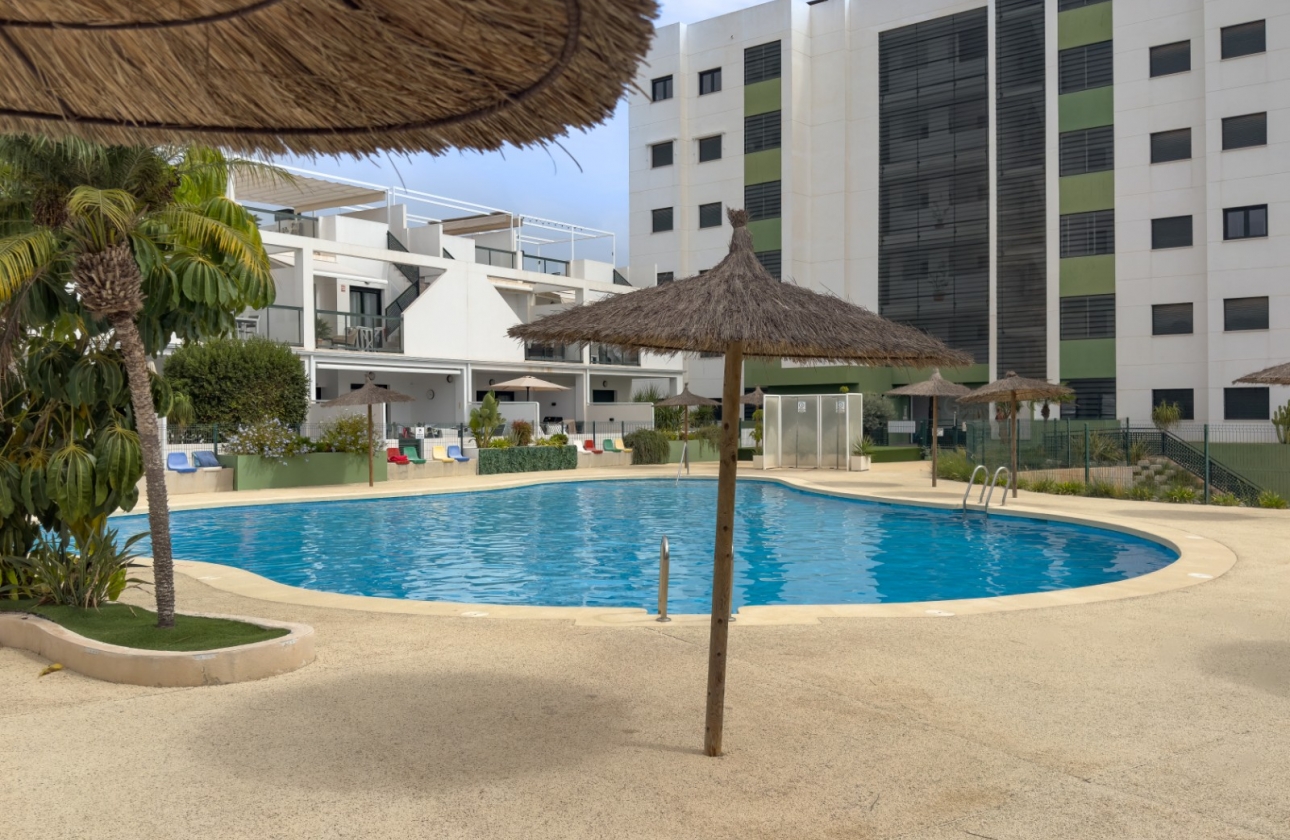 Rynek wtórny - Apartament - Pilar de la Horadada - Mil Palmeras