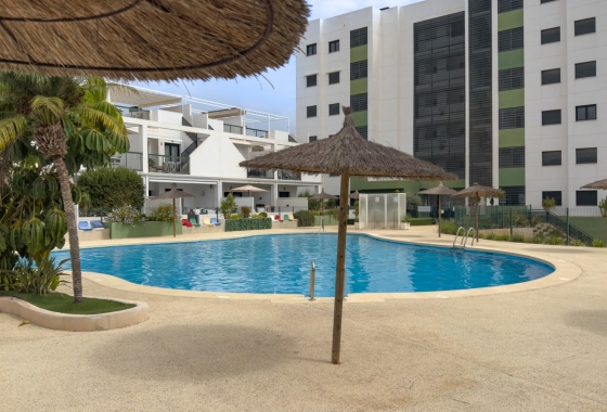 Rynek wtórny - Apartament - Pilar de la Horadada - Mil Palmeras
