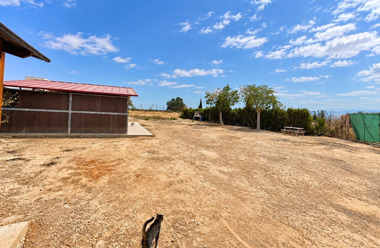 Resale - Country House - San Fulgencio - San Fulgencio - Country
