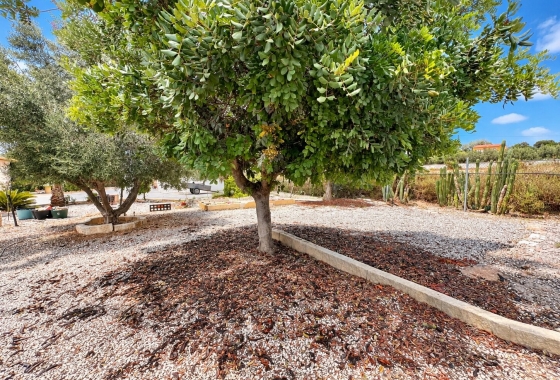 Resale - Country House - San Fulgencio - San Fulgencio - Country