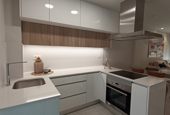 Obra nueva - Apartment - Pilar de la Horadada - Mil Palmeras