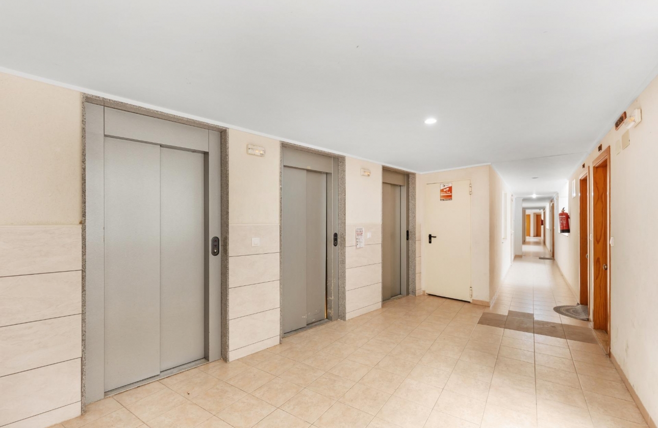Reventa - Apartment - Torrevieja - El Molino