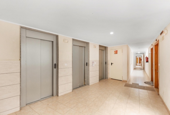 Reventa - Apartment - Torrevieja - El Molino