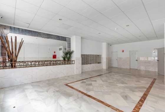 Reventa - Apartment - Torrevieja - El Molino
