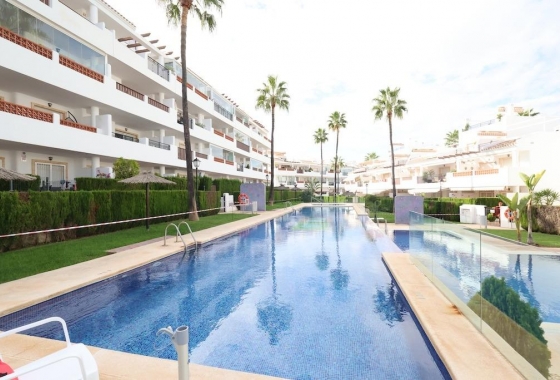 Reventa - Apartment - Orihuela Costa - Villamartín