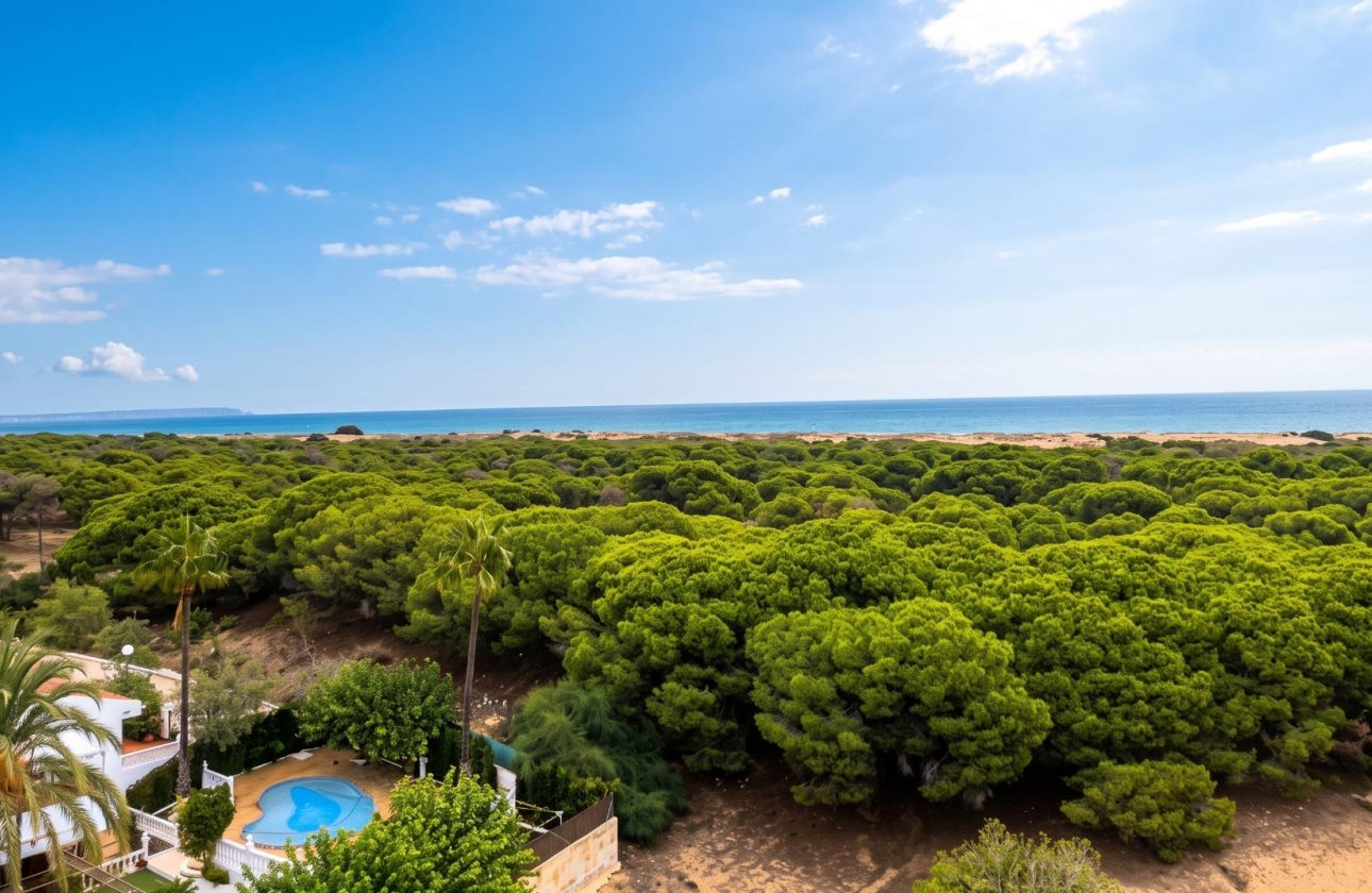 Reventa - Estudio - Guardamar del Segura - Lomas de Polo-Pinomar