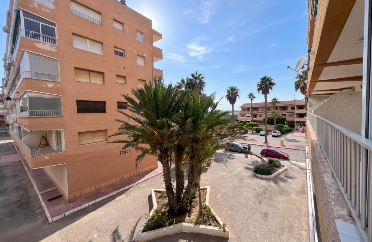 Reventa - Estudio - Guardamar del Segura - Lomas de Polo-Pinomar
