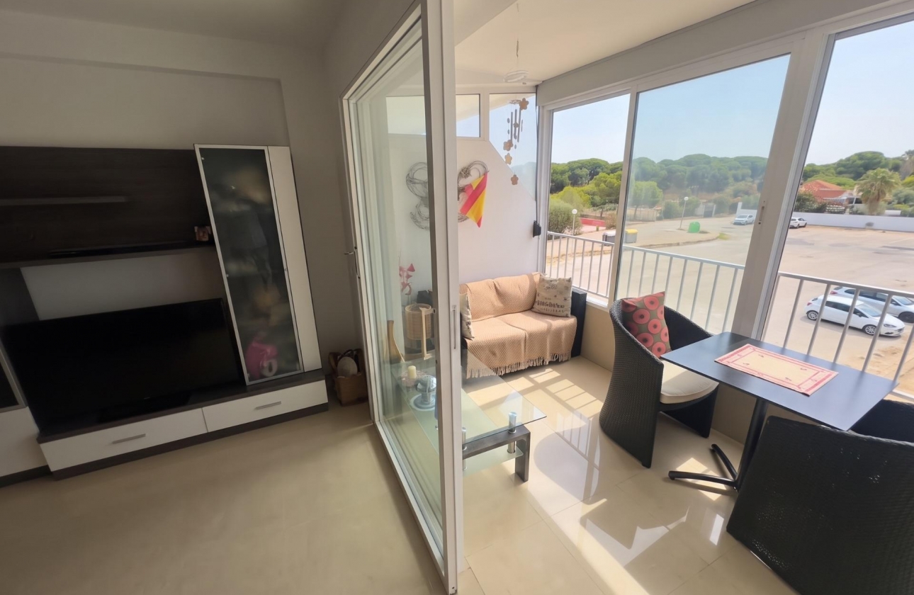 Reventa - Estudio - Guardamar del Segura - Lomas de Polo-Pinomar