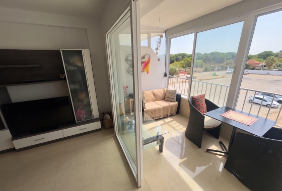 Reventa - Estudio - Guardamar del Segura - Lomas de Polo-Pinomar
