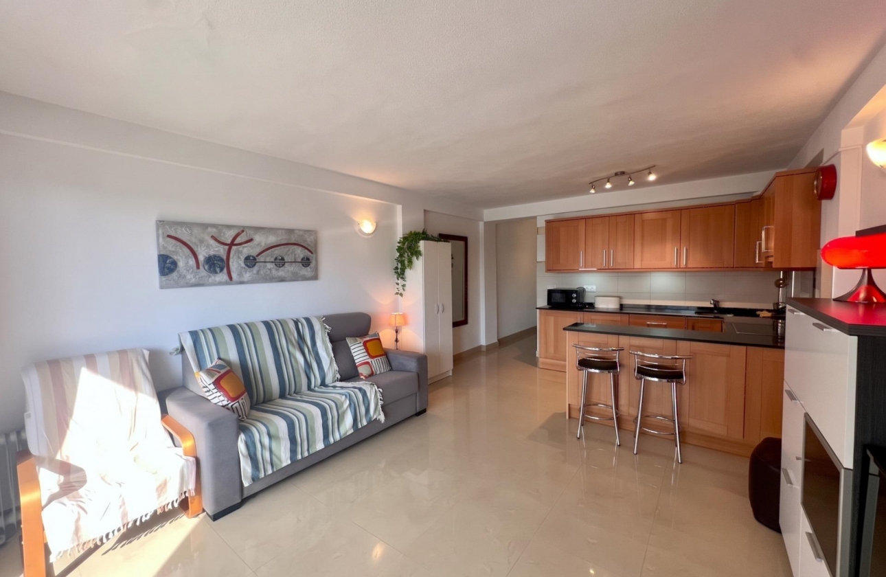 Reventa - Estudio - Guardamar del Segura - Lomas de Polo-Pinomar
