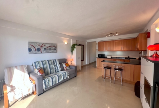 Reventa - Estudio - Guardamar del Segura - Lomas de Polo-Pinomar
