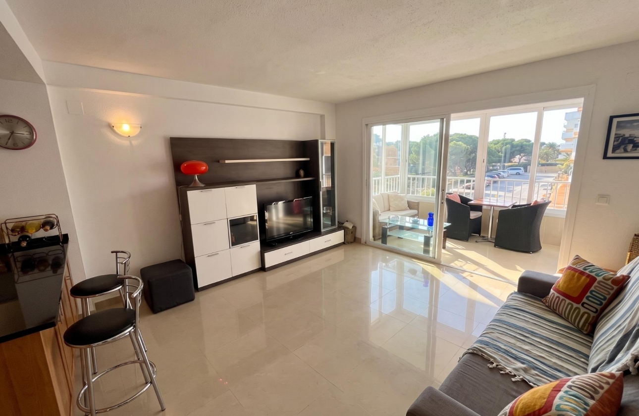 Reventa - Estudio - Guardamar del Segura - Lomas de Polo-Pinomar