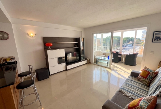 Reventa - Estudio - Guardamar del Segura - Lomas de Polo-Pinomar