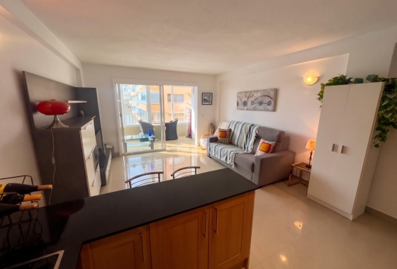 Reventa - Estudio - Guardamar del Segura - Lomas de Polo-Pinomar