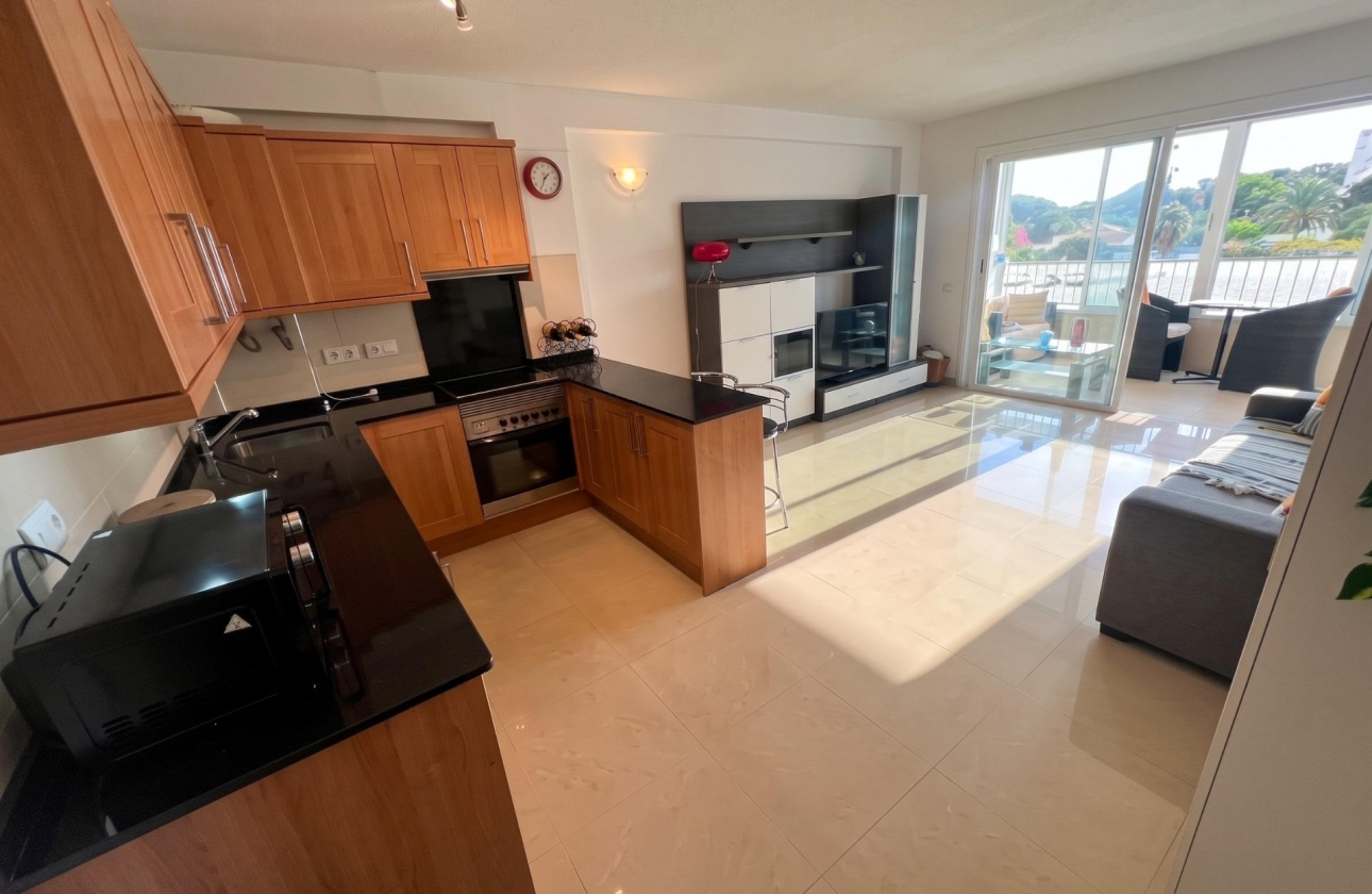 Reventa - Estudio - Guardamar del Segura - Lomas de Polo-Pinomar