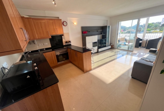Reventa - Estudio - Guardamar del Segura - Lomas de Polo-Pinomar