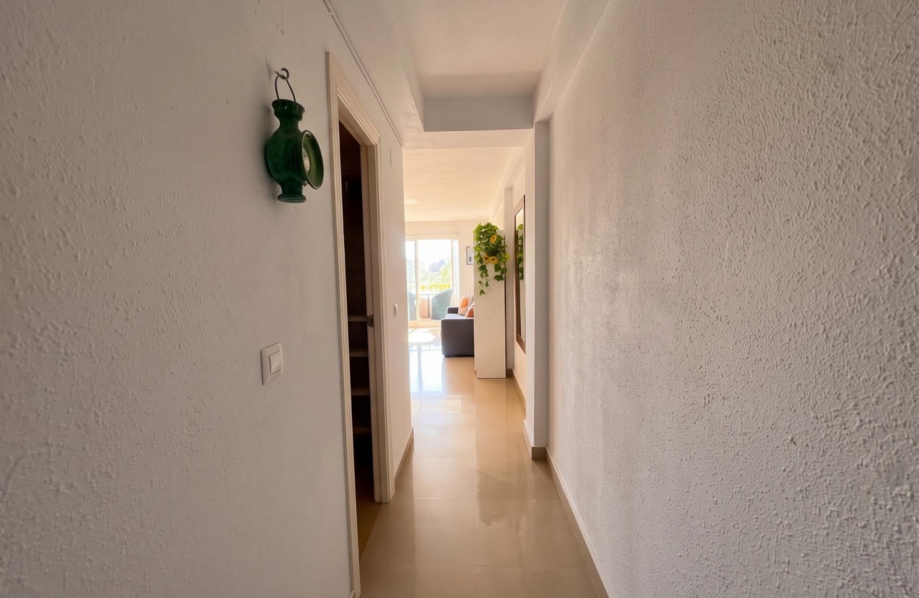 Reventa - Estudio - Guardamar del Segura - Lomas de Polo-Pinomar
