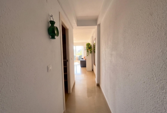 Reventa - Estudio - Guardamar del Segura - Lomas de Polo-Pinomar