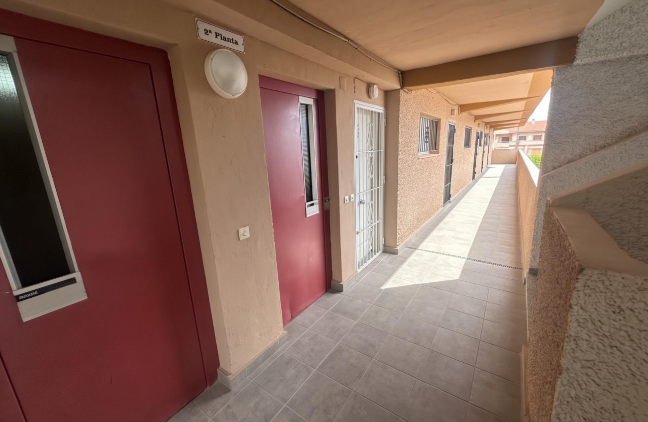 Reventa - Estudio - Guardamar del Segura - Lomas de Polo-Pinomar