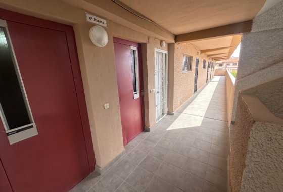 Reventa - Estudio - Guardamar del Segura - Lomas de Polo-Pinomar