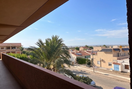 Reventa - Estudio - Guardamar del Segura - Lomas de Polo-Pinomar