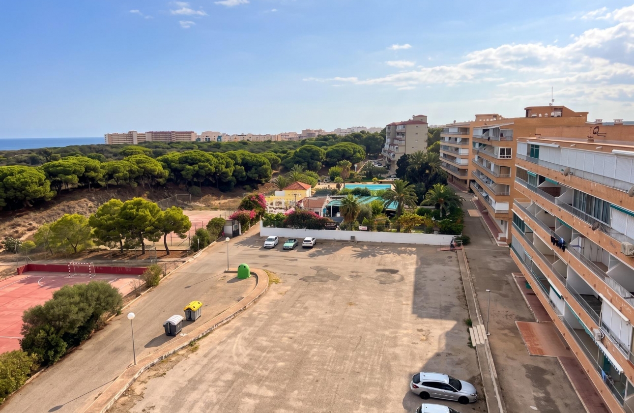 Reventa - Estudio - Guardamar del Segura - Lomas de Polo-Pinomar