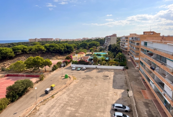 Reventa - Estudio - Guardamar del Segura - Lomas de Polo-Pinomar