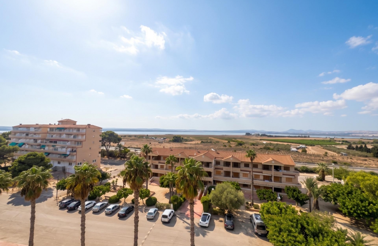 Reventa - Estudio - Guardamar del Segura - Lomas de Polo-Pinomar