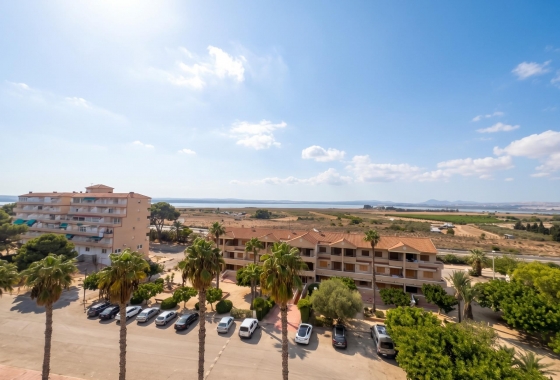 Reventa - Estudio - Guardamar del Segura - Lomas de Polo-Pinomar