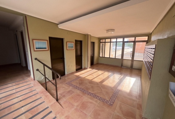 Reventa - Estudio - Guardamar del Segura - Lomas de Polo-Pinomar