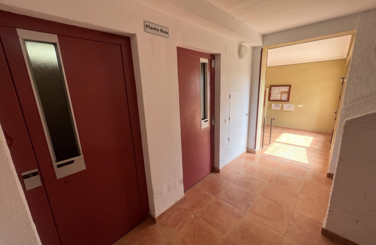 Reventa - Estudio - Guardamar del Segura - Lomas de Polo-Pinomar