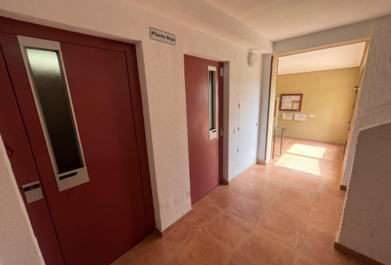 Reventa - Estudio - Guardamar del Segura - Lomas de Polo-Pinomar