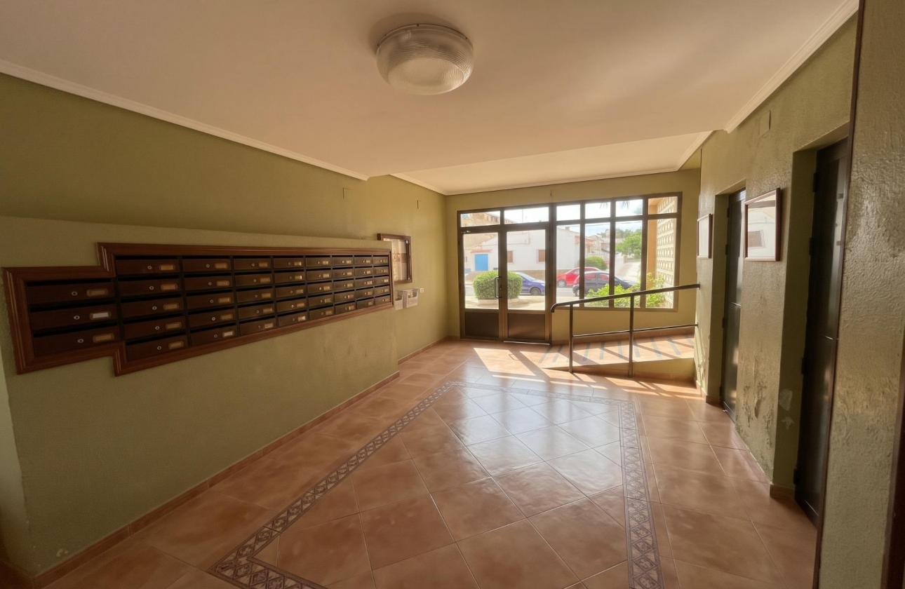 Reventa - Estudio - Guardamar del Segura - Lomas de Polo-Pinomar