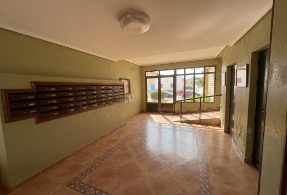 Reventa - Estudio - Guardamar del Segura - Lomas de Polo-Pinomar
