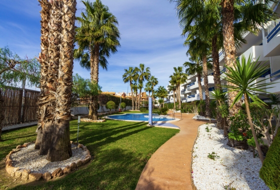Resale - Penthouse - Orihuela Costa - Playa Flamenca