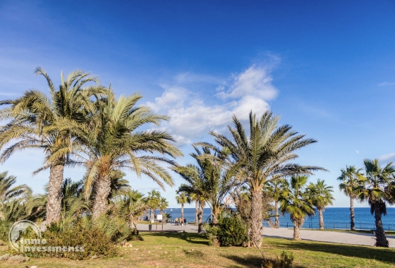Resale - Penthouse - Orihuela Costa - Playa Flamenca