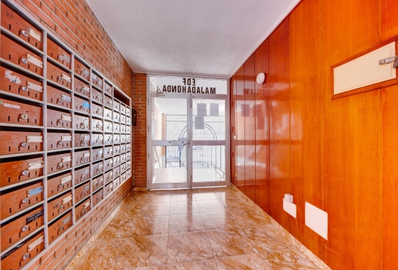 Rynek wtórny - Apartament - Torrevieja - Acequion