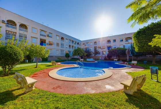 Resale - Penthouse - Torrevieja - Acequion