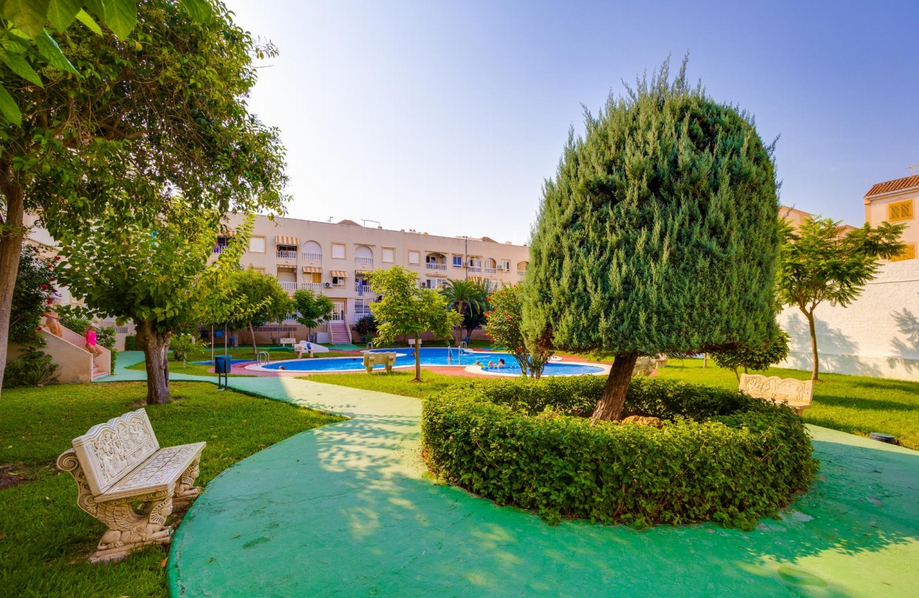 Resale - Penthouse - Torrevieja - Acequion