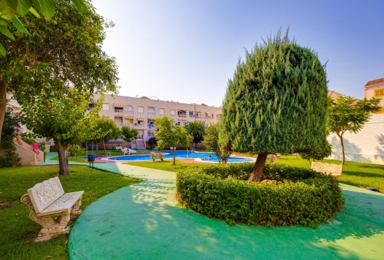 Resale - Penthouse - Torrevieja - Acequion