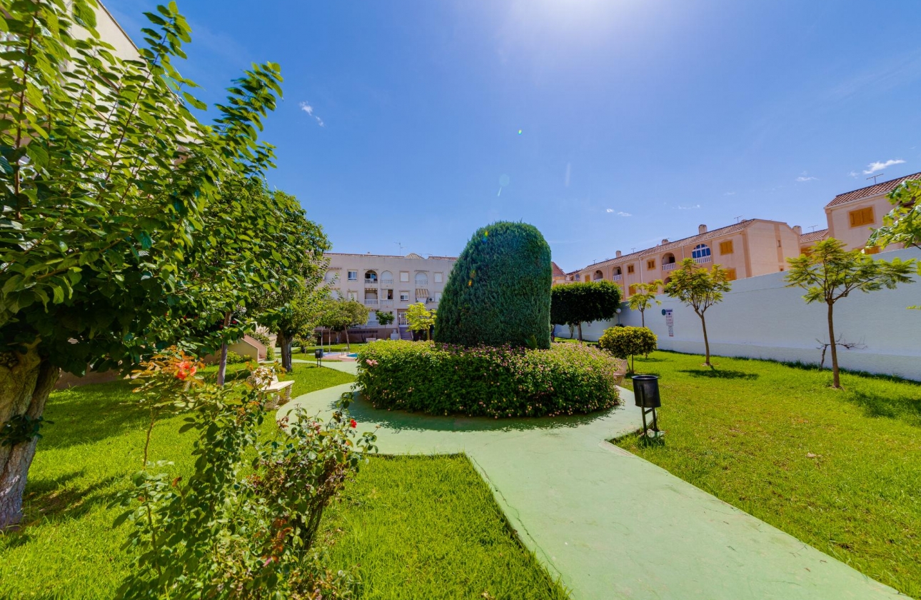Resale - Penthouse - Torrevieja - Acequion