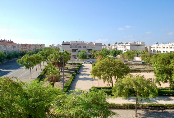 Reventa - Bungalow - Pilar de la Horadada - Mil Palmeras