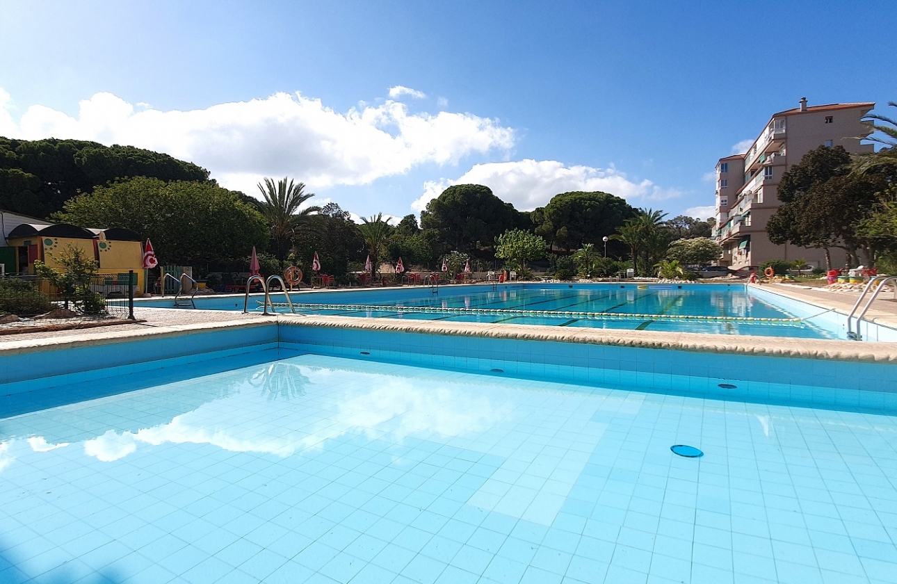 Reventa - Lokal - Guardamar del Segura